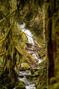A scenic viewpoint of Marymere falls located in Olympic National Park in Port Angeles, Washington. 
