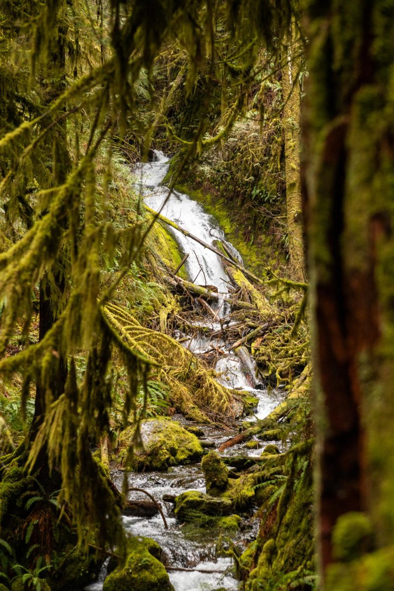 A scenic viewpoint of Marymere falls located in Olympic National Park in Port Angeles, Washington. 