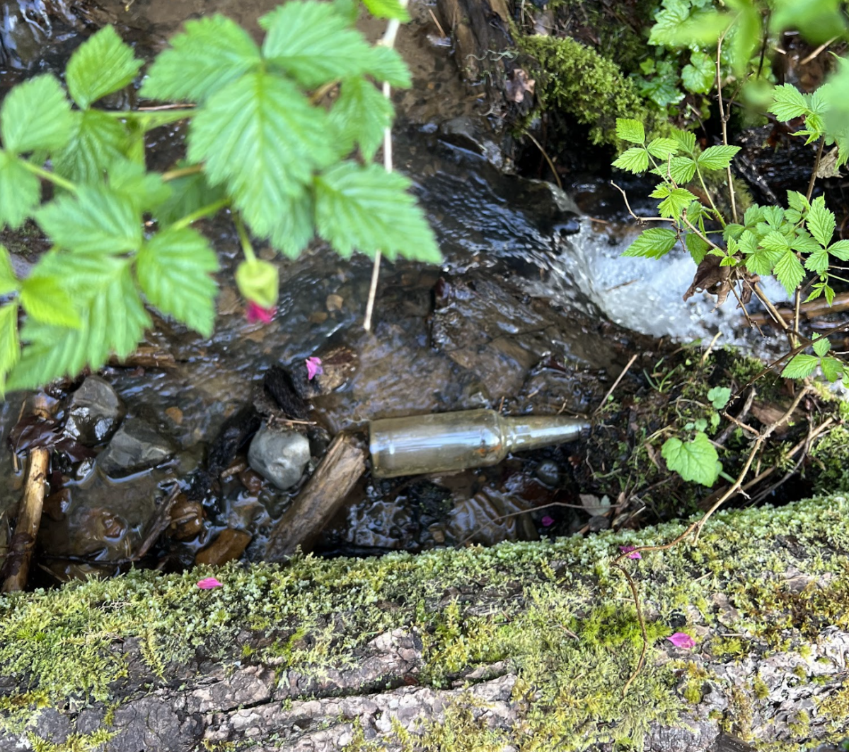 Ugly Beauty: Discussing The Trash In Nature
