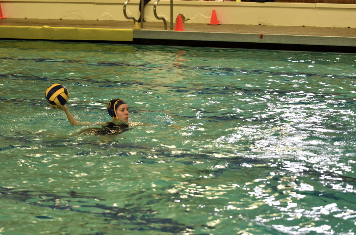 Water Polo Doesn't Have Enough Players