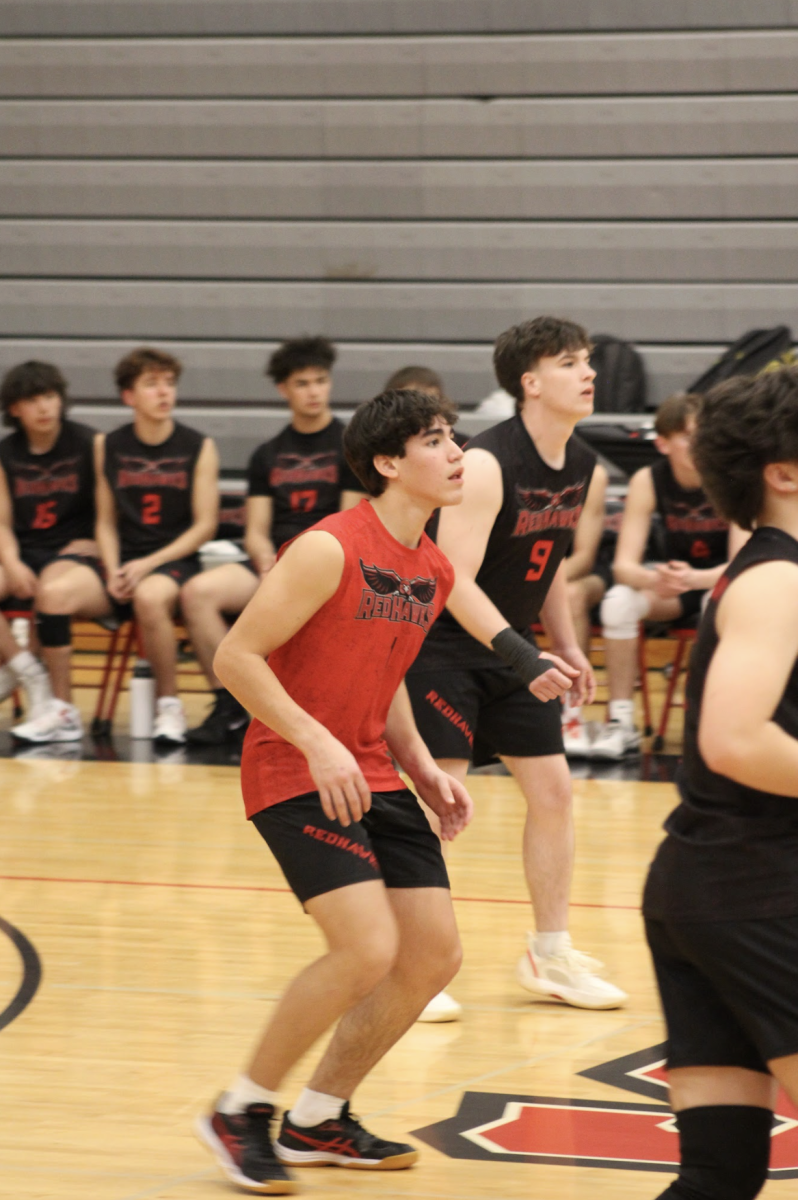 Making Men's Volleyball A Sport