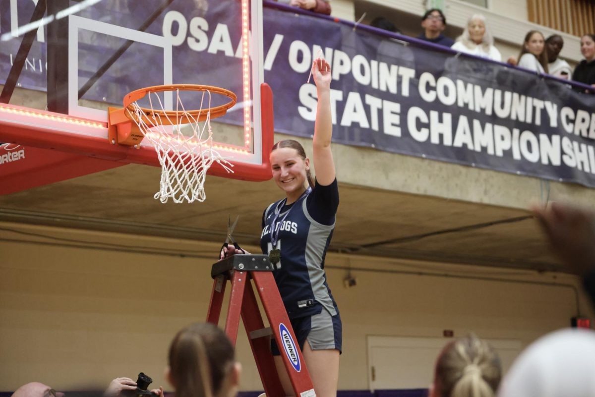 Stars on the Court
